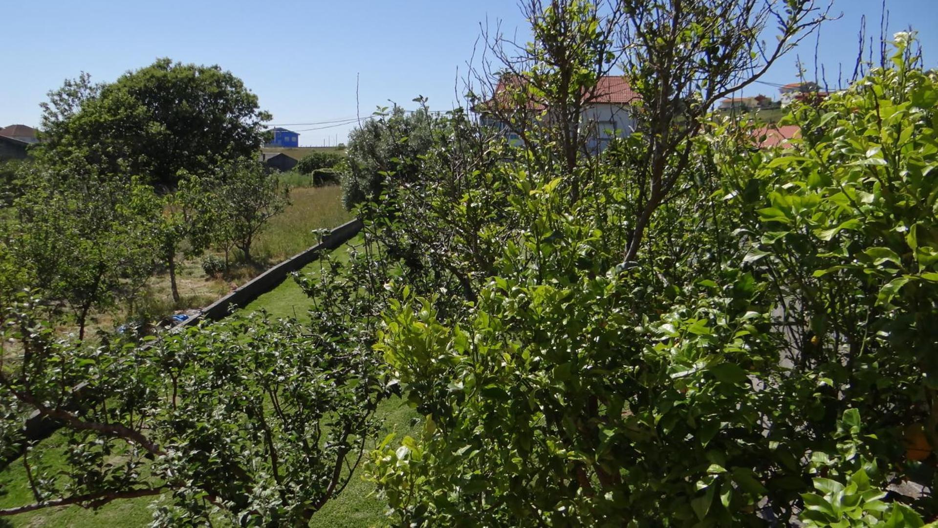 Casa De Lolo En Larino Villa Карнота Екстериор снимка